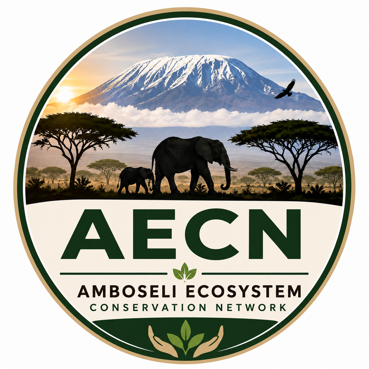 AECN Logo