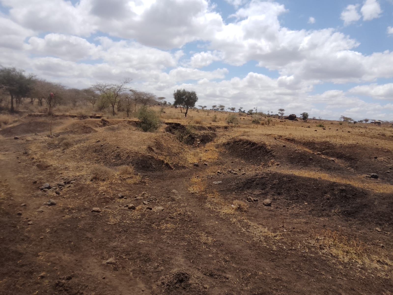 Ecosystem Restoration